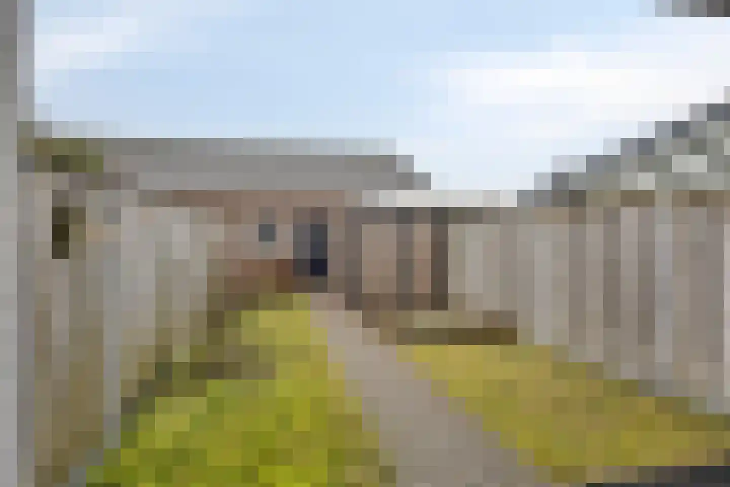 Veenmos 45 Boekel thumbnail 28