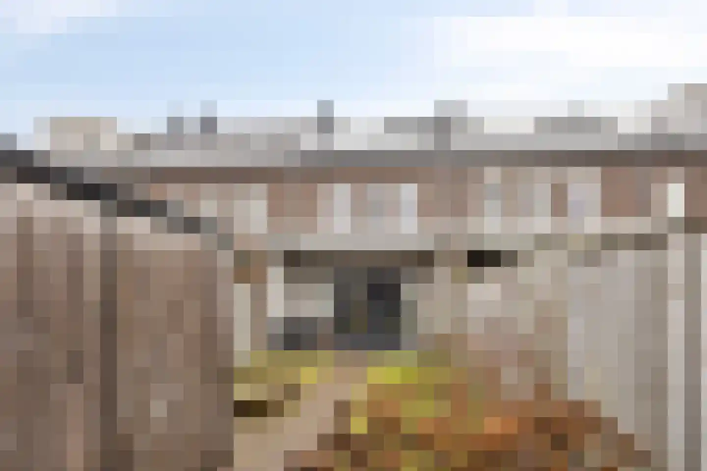 Veenmos 45 Boekel thumbnail 32