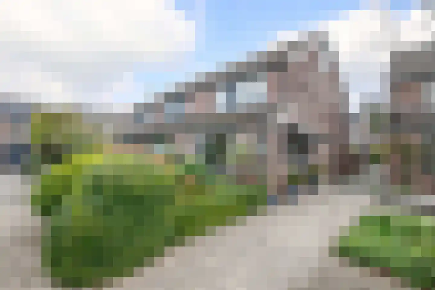 Veenmos 5 Nieuwerkerk aan den IJssel