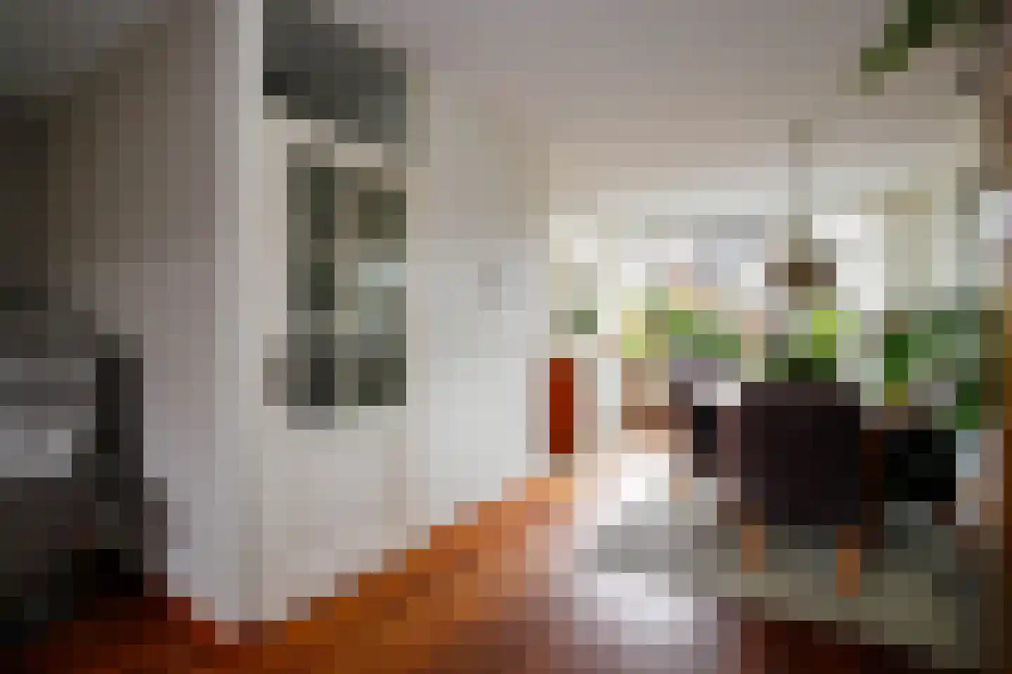 Veenmos 5 Nieuwerkerk aan den IJssel thumbnail 10