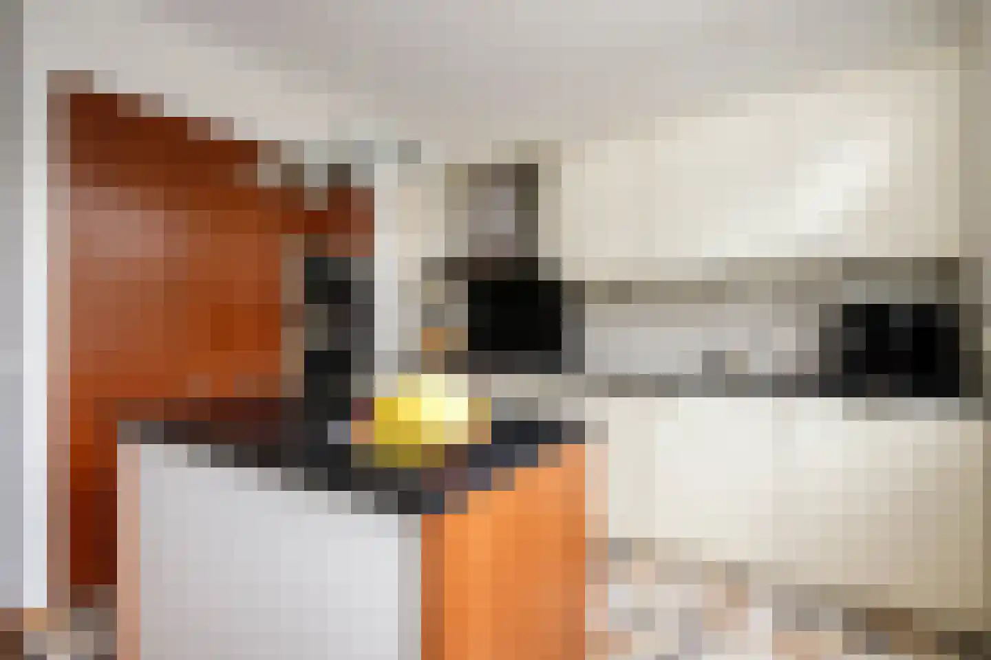 Veenmos 5 Nieuwerkerk aan den IJssel thumbnail 13