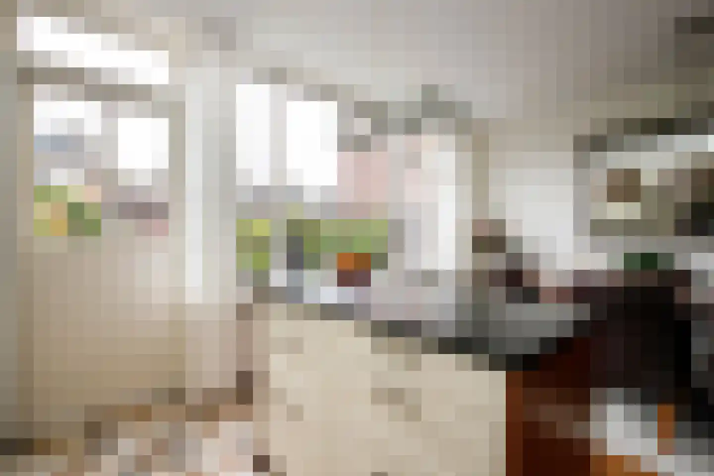 Veenmos 5 Nieuwerkerk aan den IJssel thumbnail 14