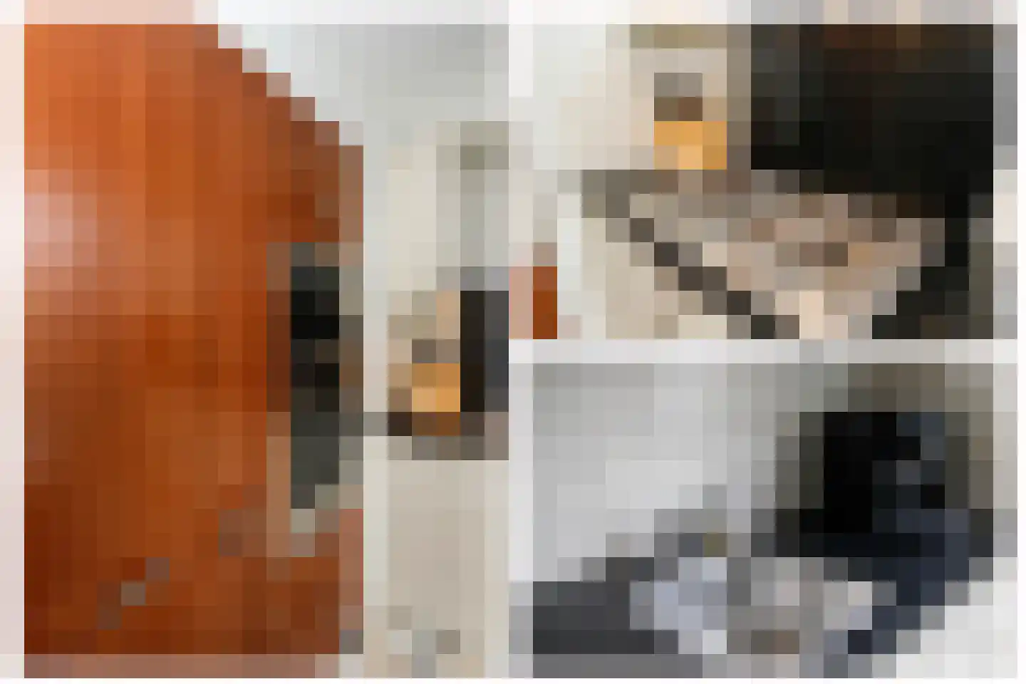 Veenmos 5 Nieuwerkerk aan den IJssel thumbnail 15