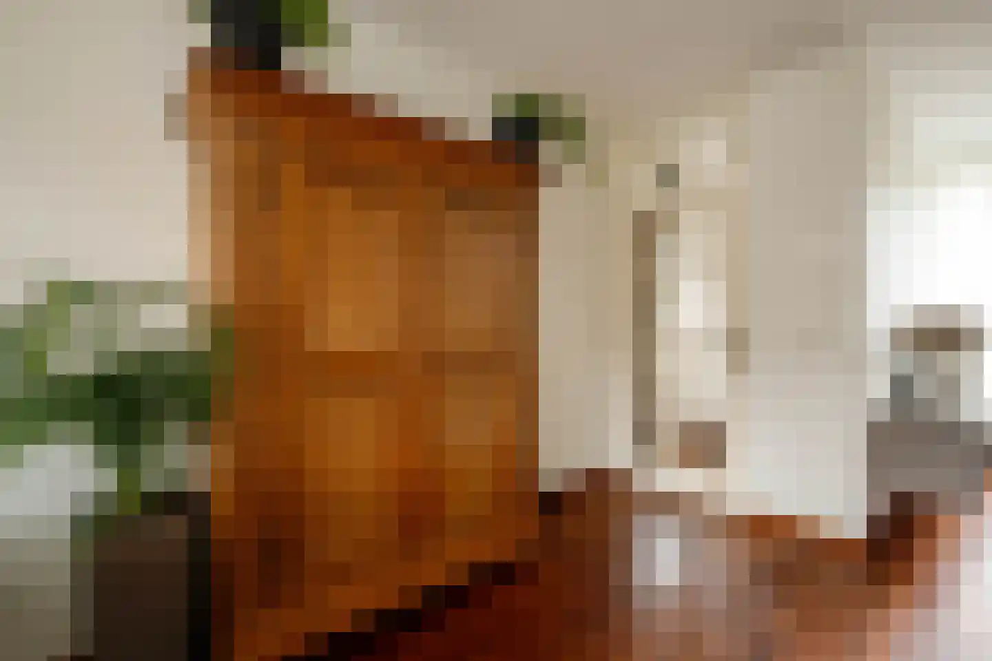 Veenmos 5 Nieuwerkerk aan den IJssel thumbnail 16