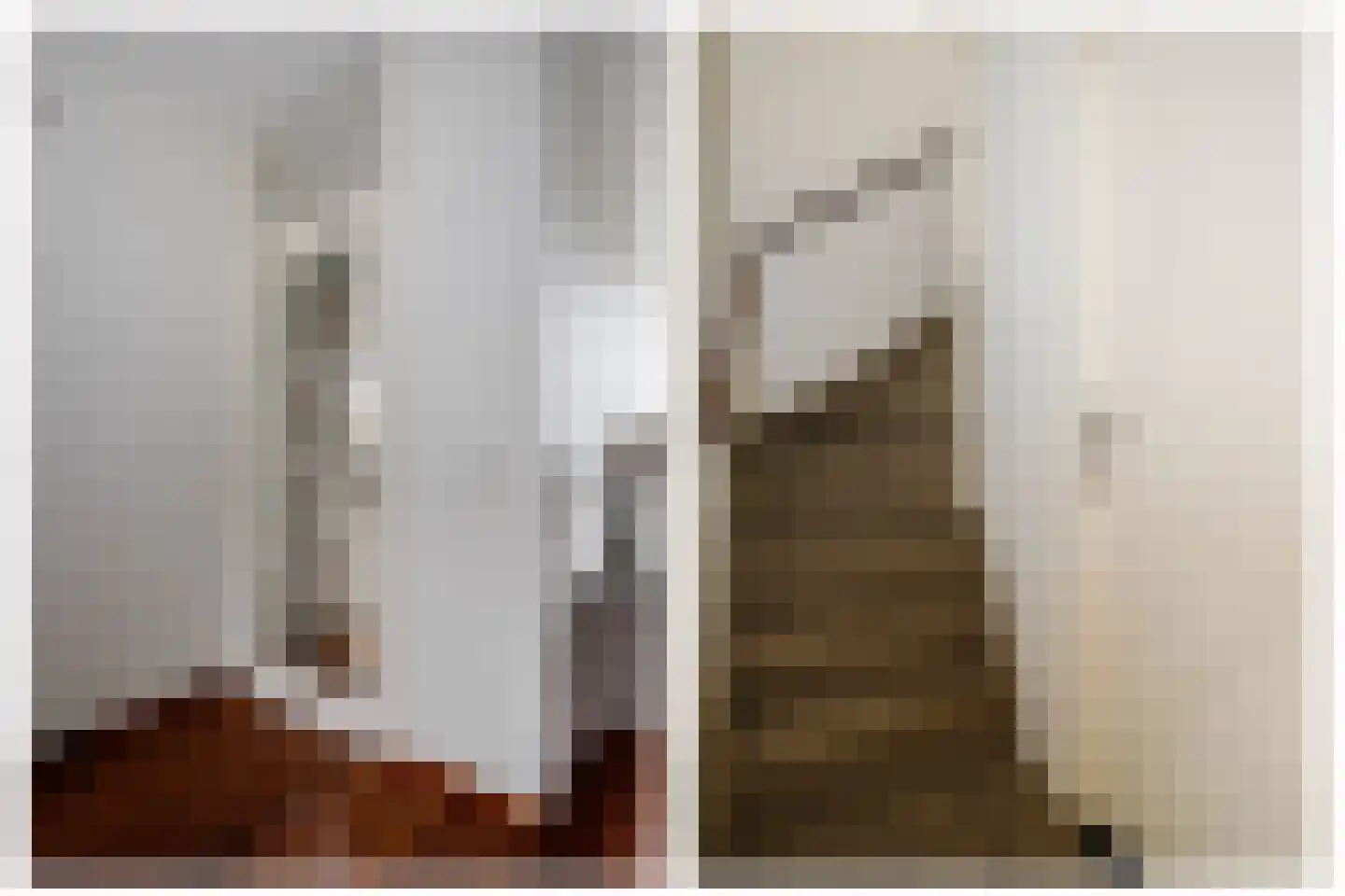 Veenmos 5 Nieuwerkerk aan den IJssel thumbnail 17