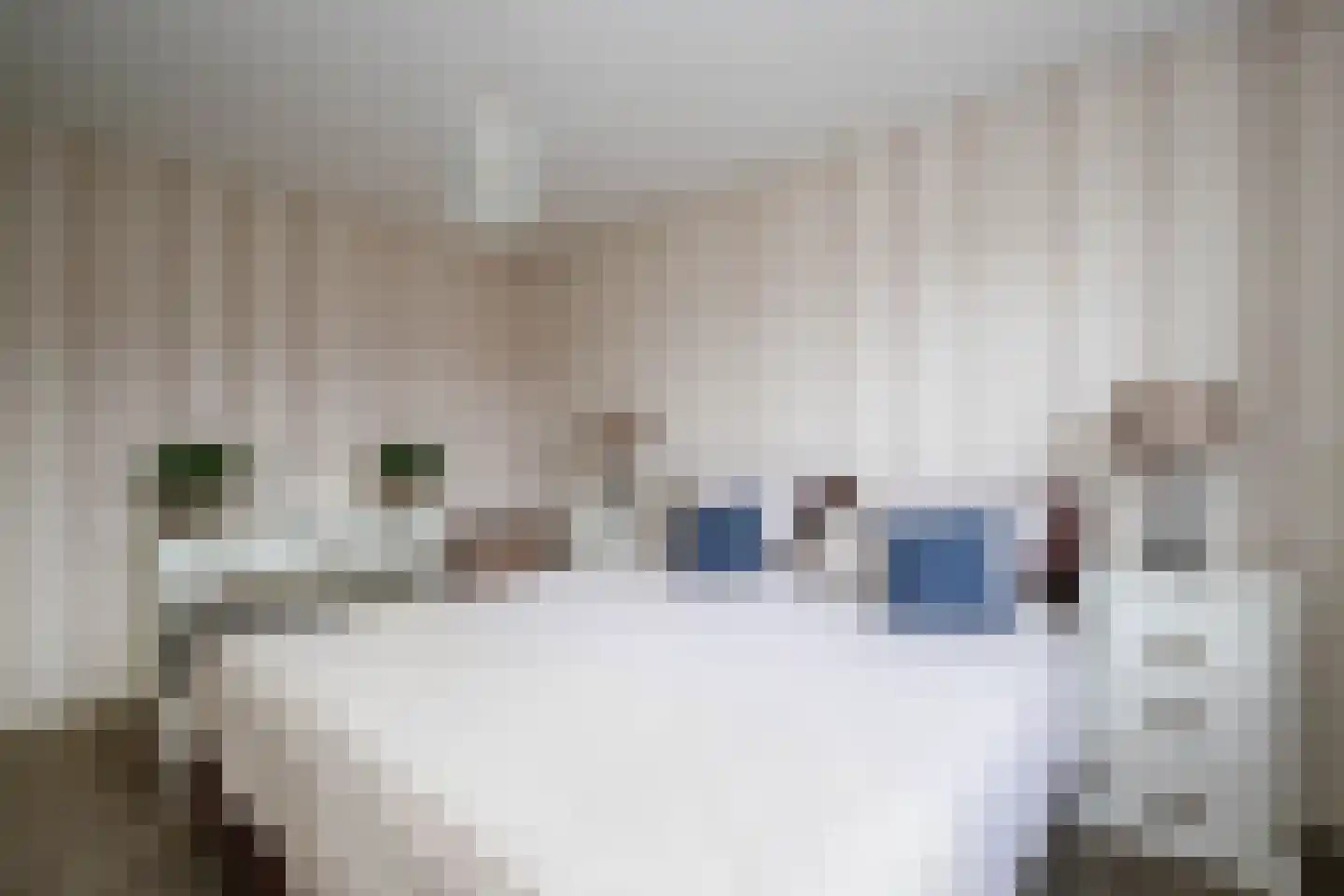 Veenmos 5 Nieuwerkerk aan den IJssel thumbnail 19