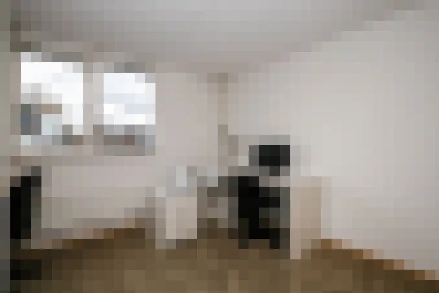 Veenmos 5 Nieuwerkerk aan den IJssel thumbnail 20