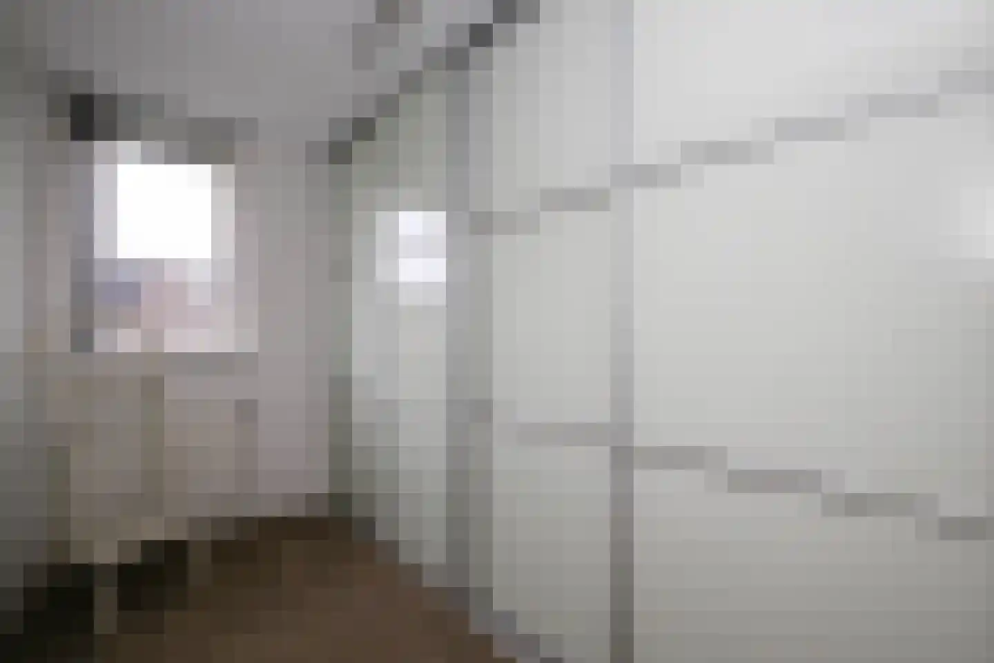 Veenmos 5 Nieuwerkerk aan den IJssel thumbnail 22