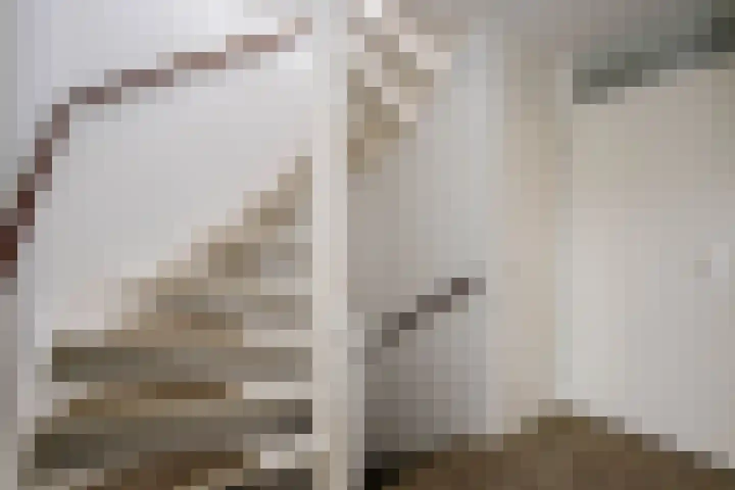 Veenmos 5 Nieuwerkerk aan den IJssel thumbnail 25