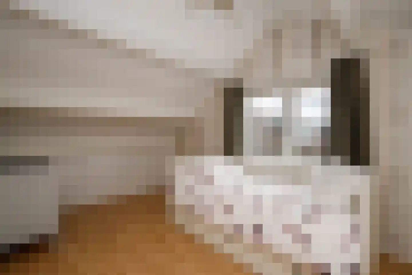Veenmos 5 Nieuwerkerk aan den IJssel thumbnail 26