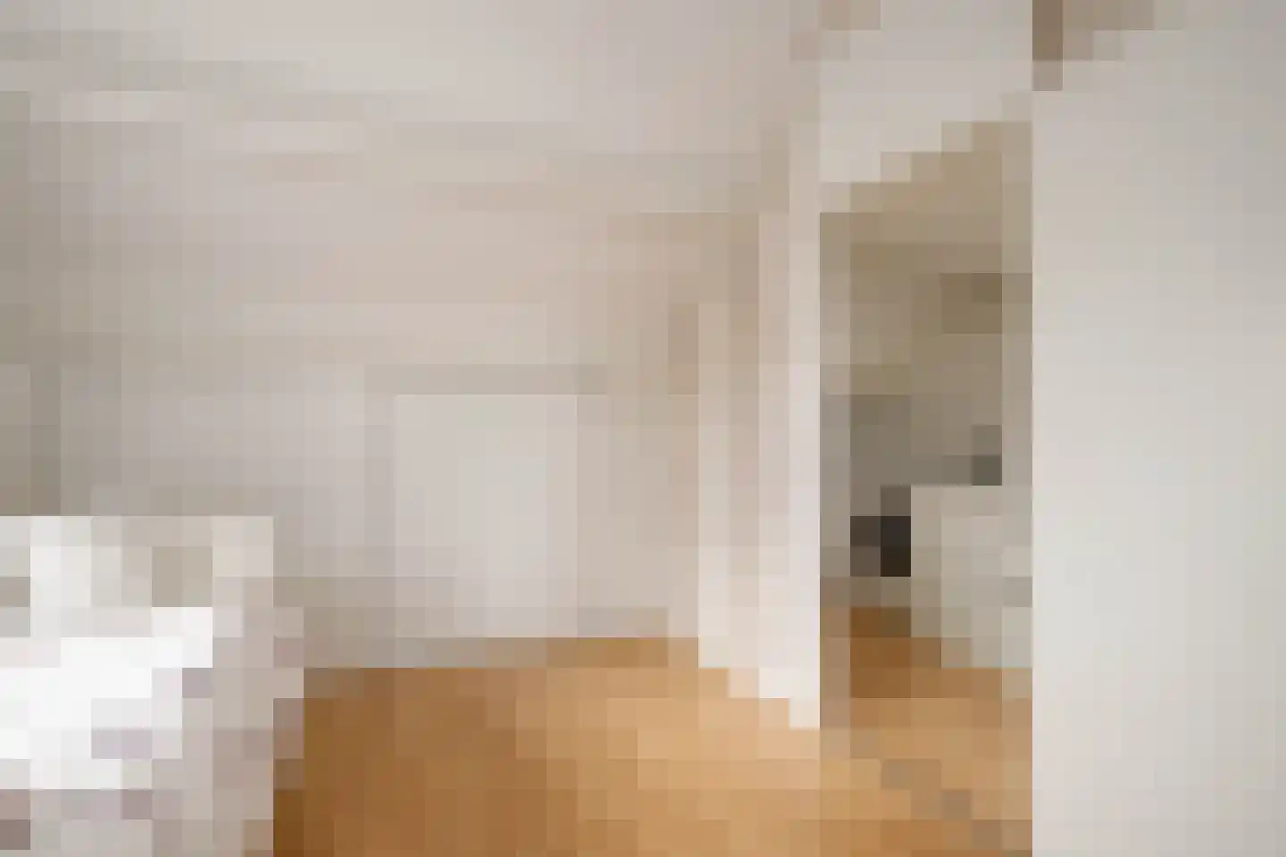 Veenmos 5 Nieuwerkerk aan den IJssel thumbnail 27