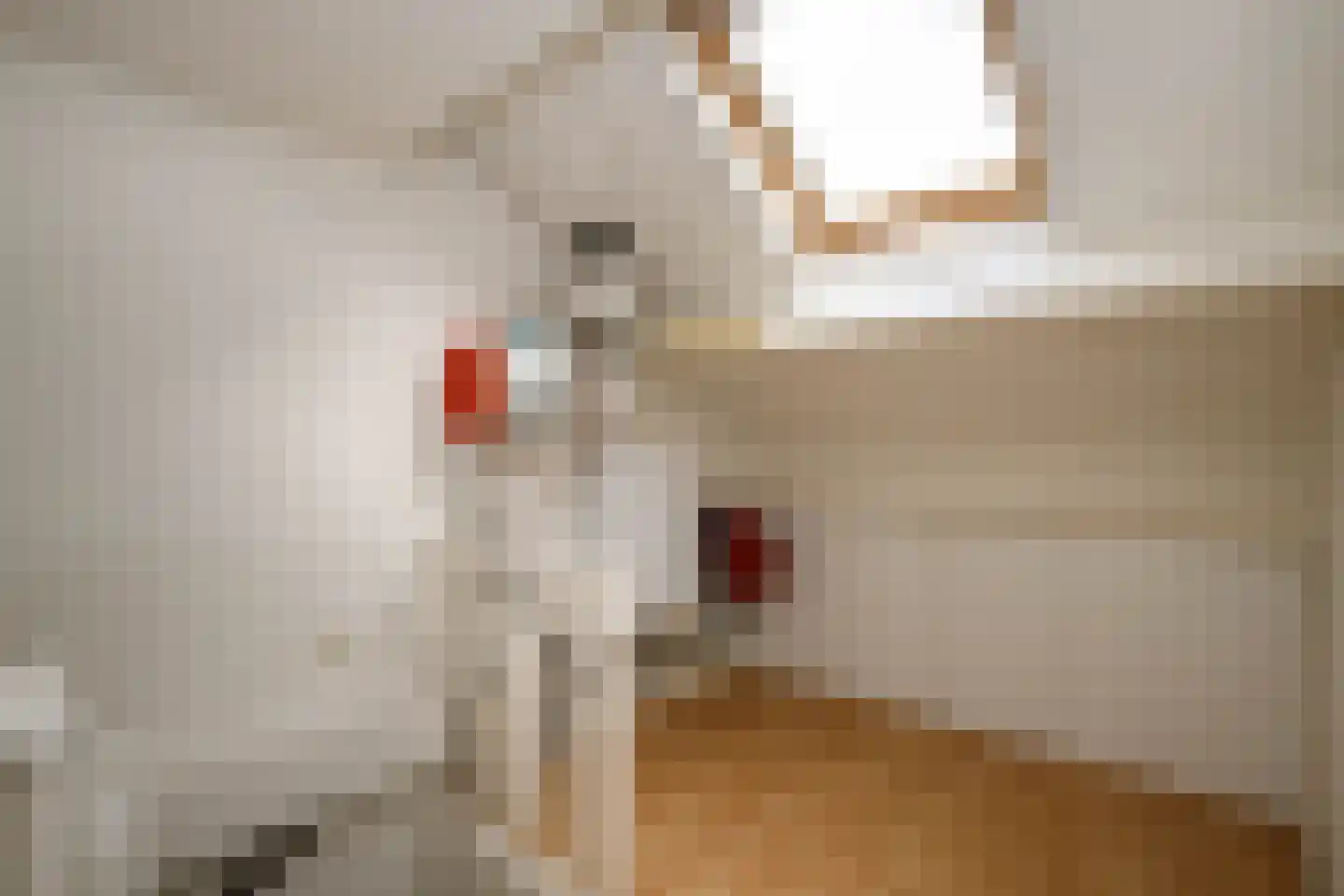 Veenmos 5 Nieuwerkerk aan den IJssel thumbnail 28