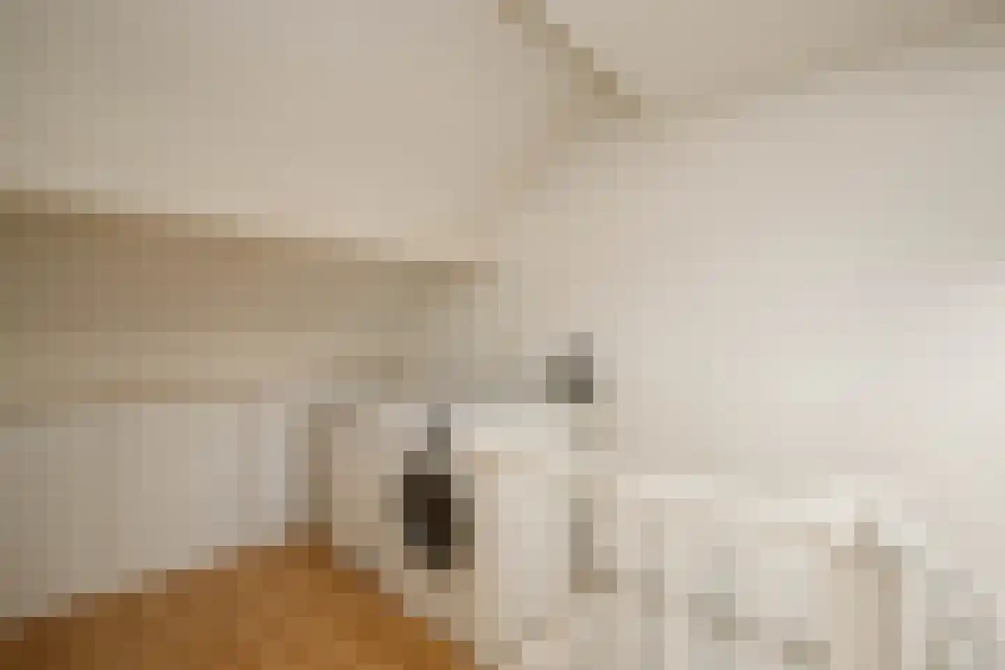 Veenmos 5 Nieuwerkerk aan den IJssel thumbnail 29