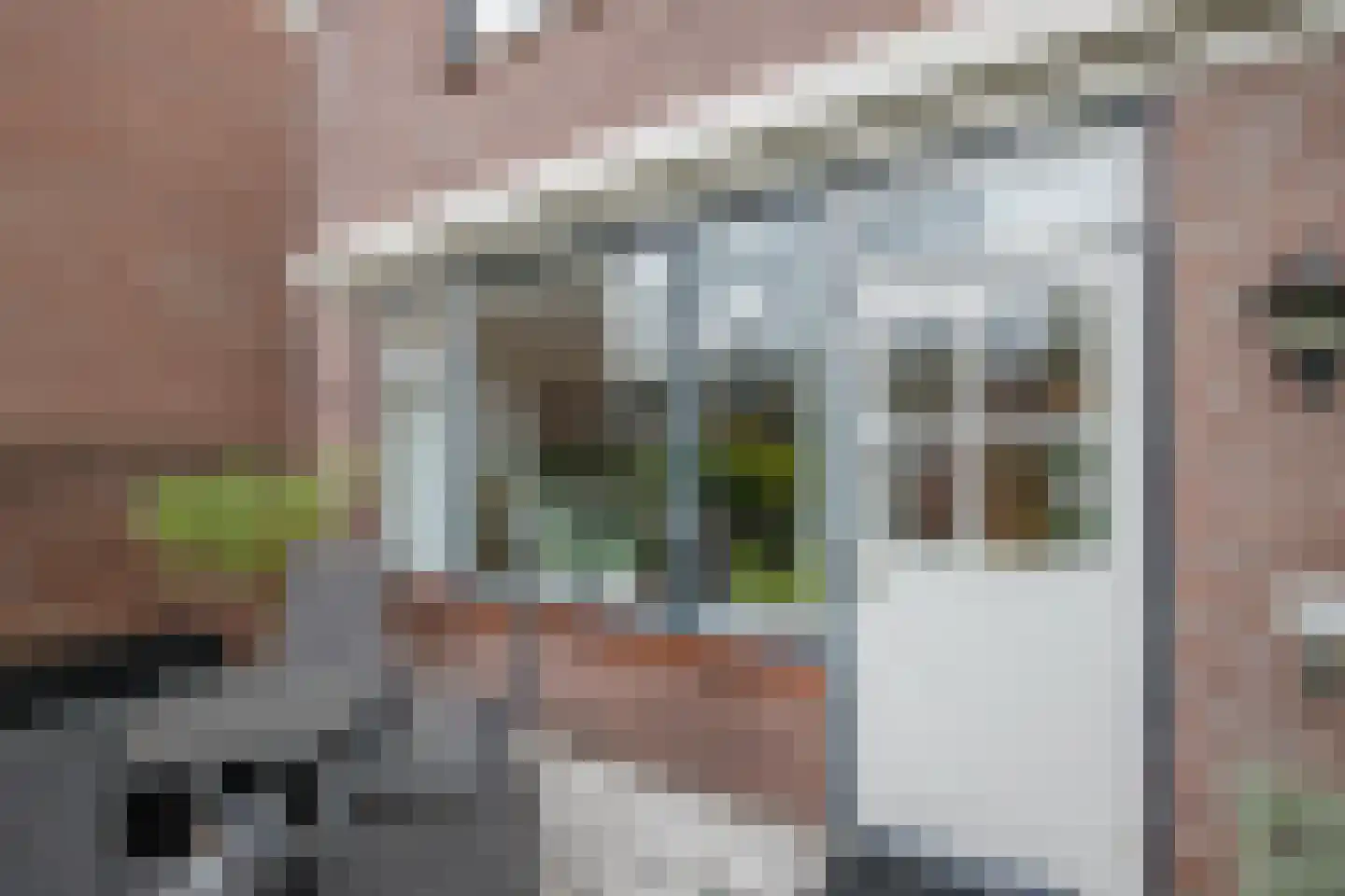 Veenmos 5 Nieuwerkerk aan den IJssel thumbnail 30