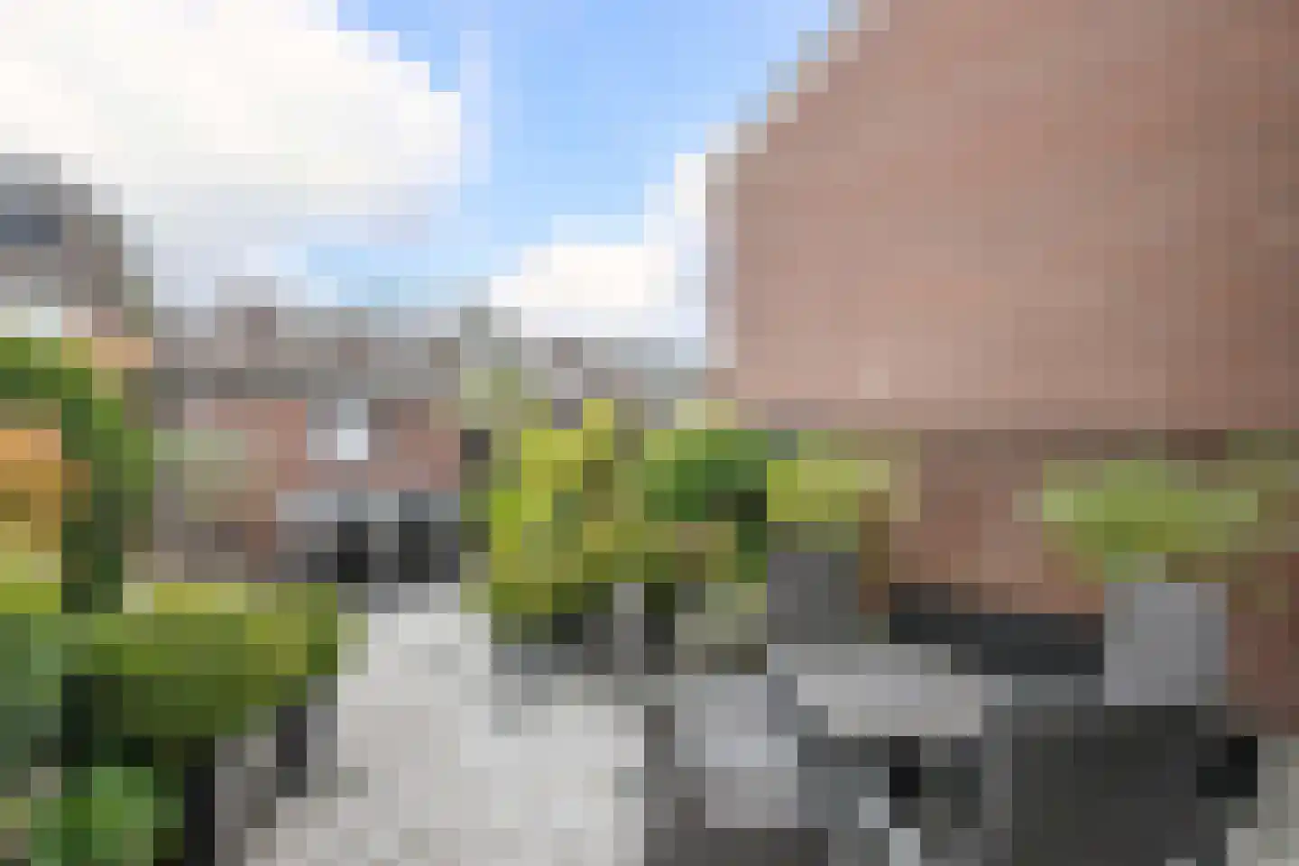 Veenmos 5 Nieuwerkerk aan den IJssel thumbnail 32