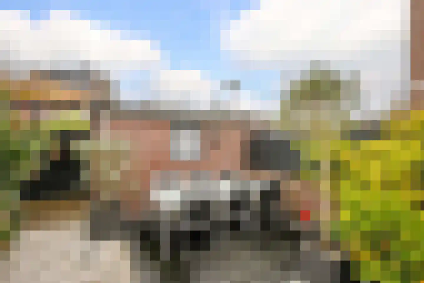 Veenmos 5 Nieuwerkerk aan den IJssel thumbnail 33