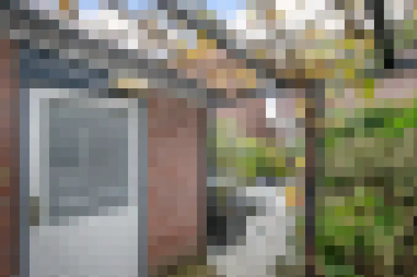 Veenmos 5 Nieuwerkerk aan den IJssel thumbnail 34