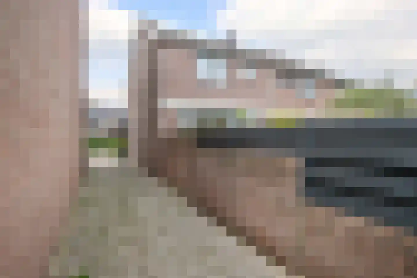 Veenmos 5 Nieuwerkerk aan den IJssel thumbnail 35