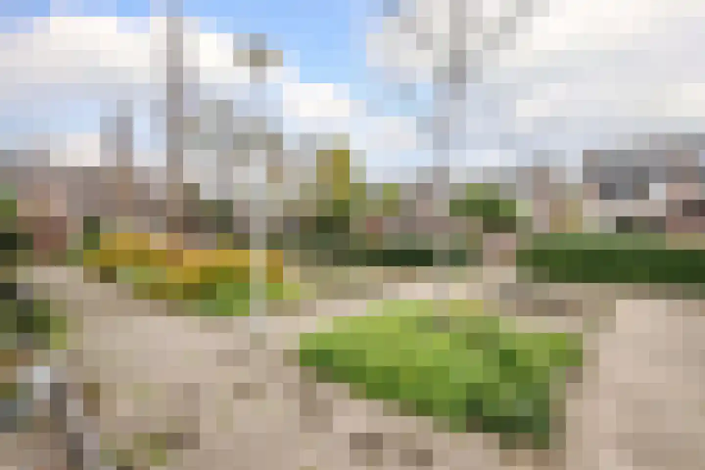 Veenmos 5 Nieuwerkerk aan den IJssel thumbnail 36