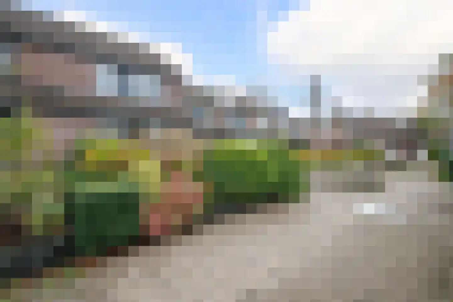 Veenmos 5 Nieuwerkerk aan den IJssel thumbnail 37