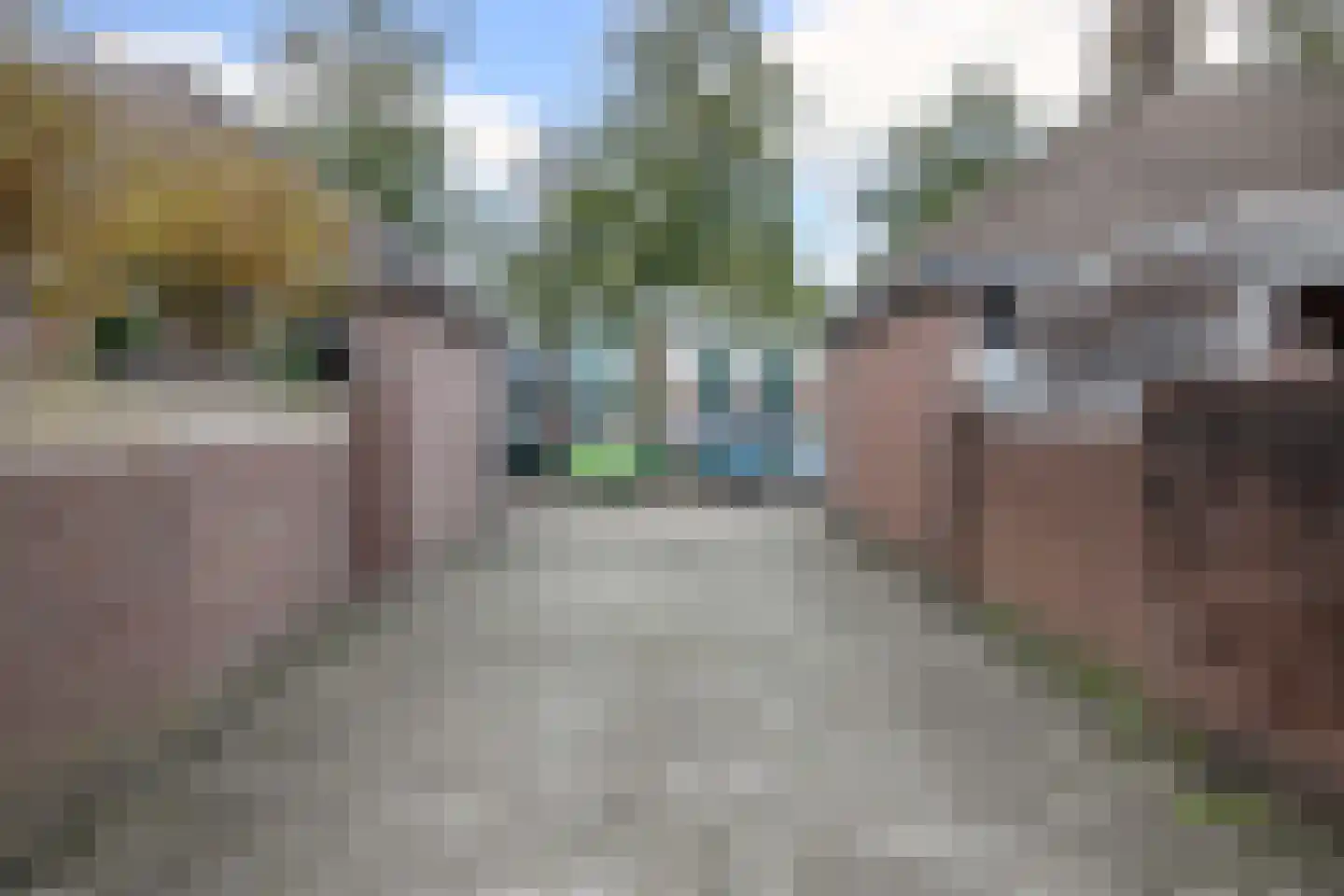 Veenmos 5 Nieuwerkerk aan den IJssel thumbnail 38