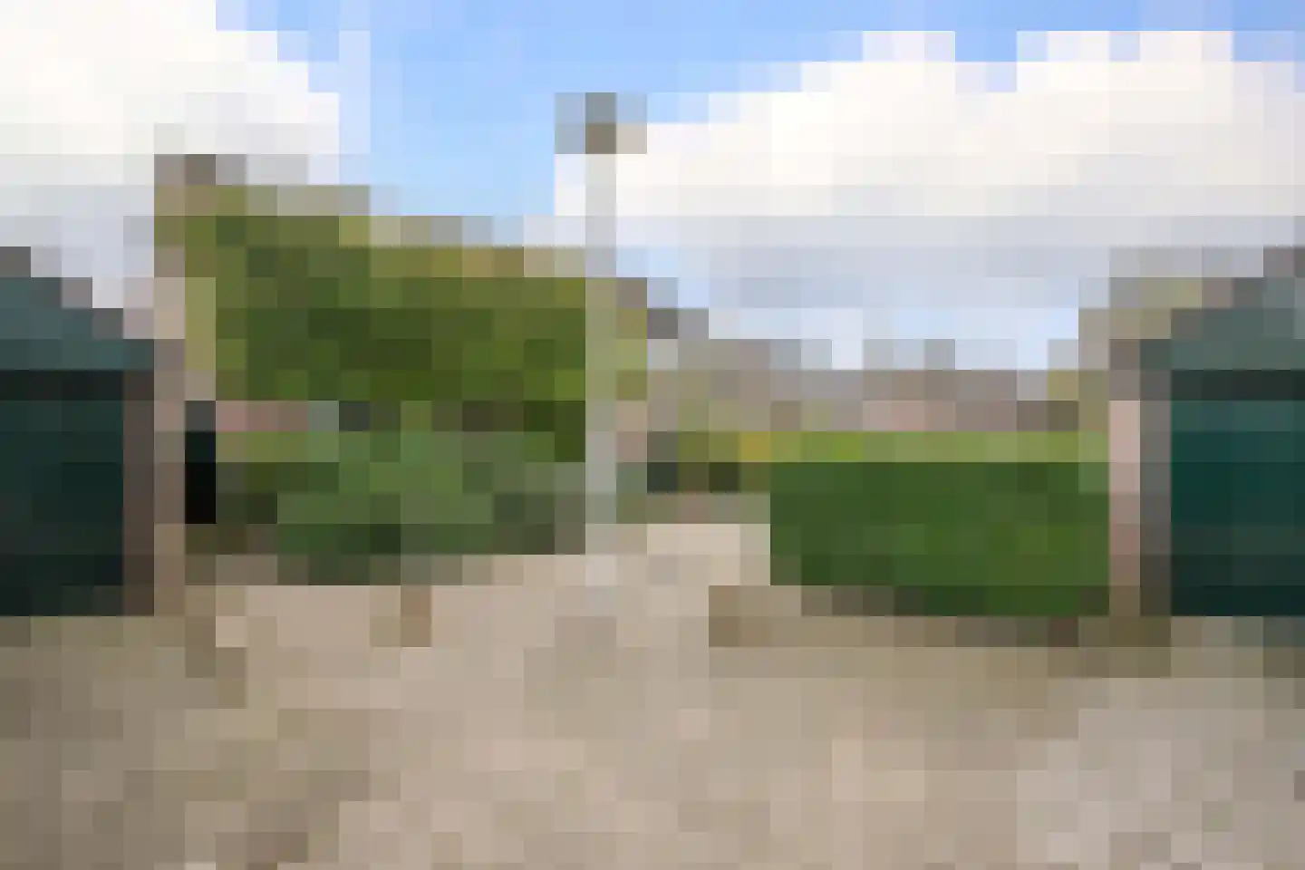 Veenmos 5 Nieuwerkerk aan den IJssel thumbnail 39