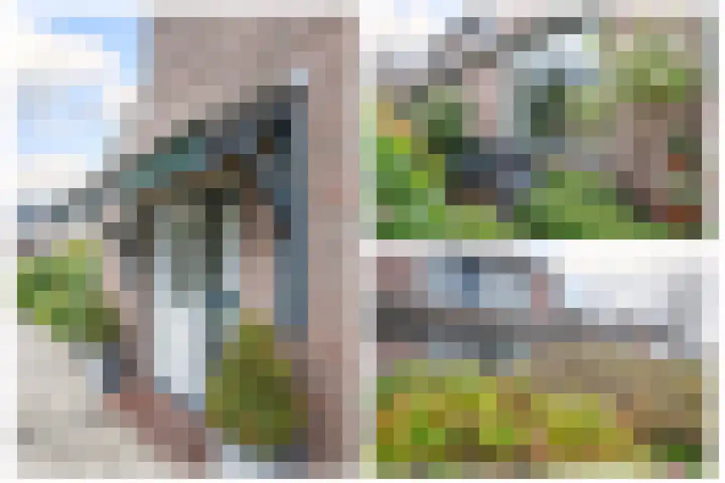Veenmos 5 Nieuwerkerk aan den IJssel thumbnail 4