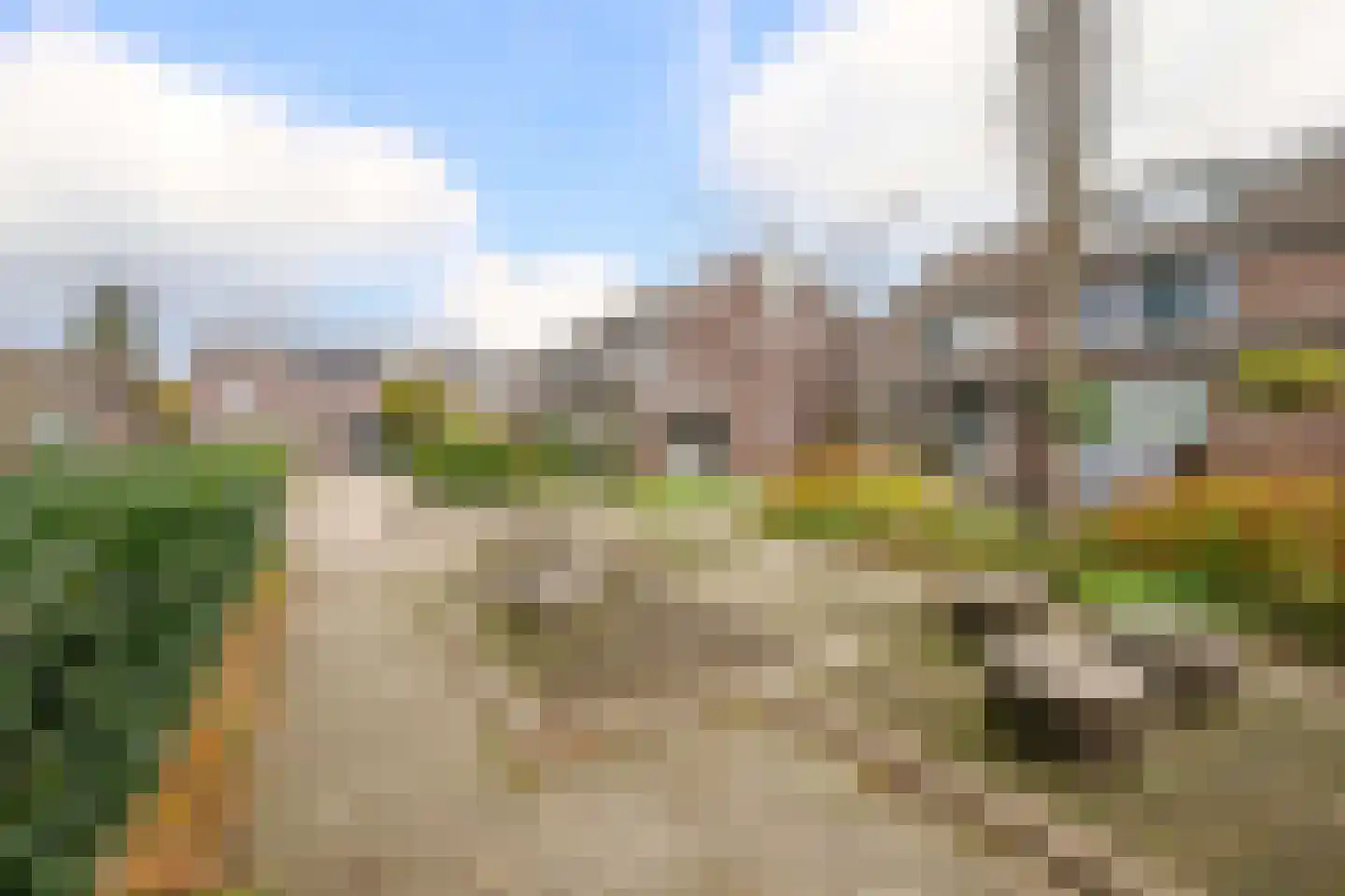 Veenmos 5 Nieuwerkerk aan den IJssel thumbnail 41