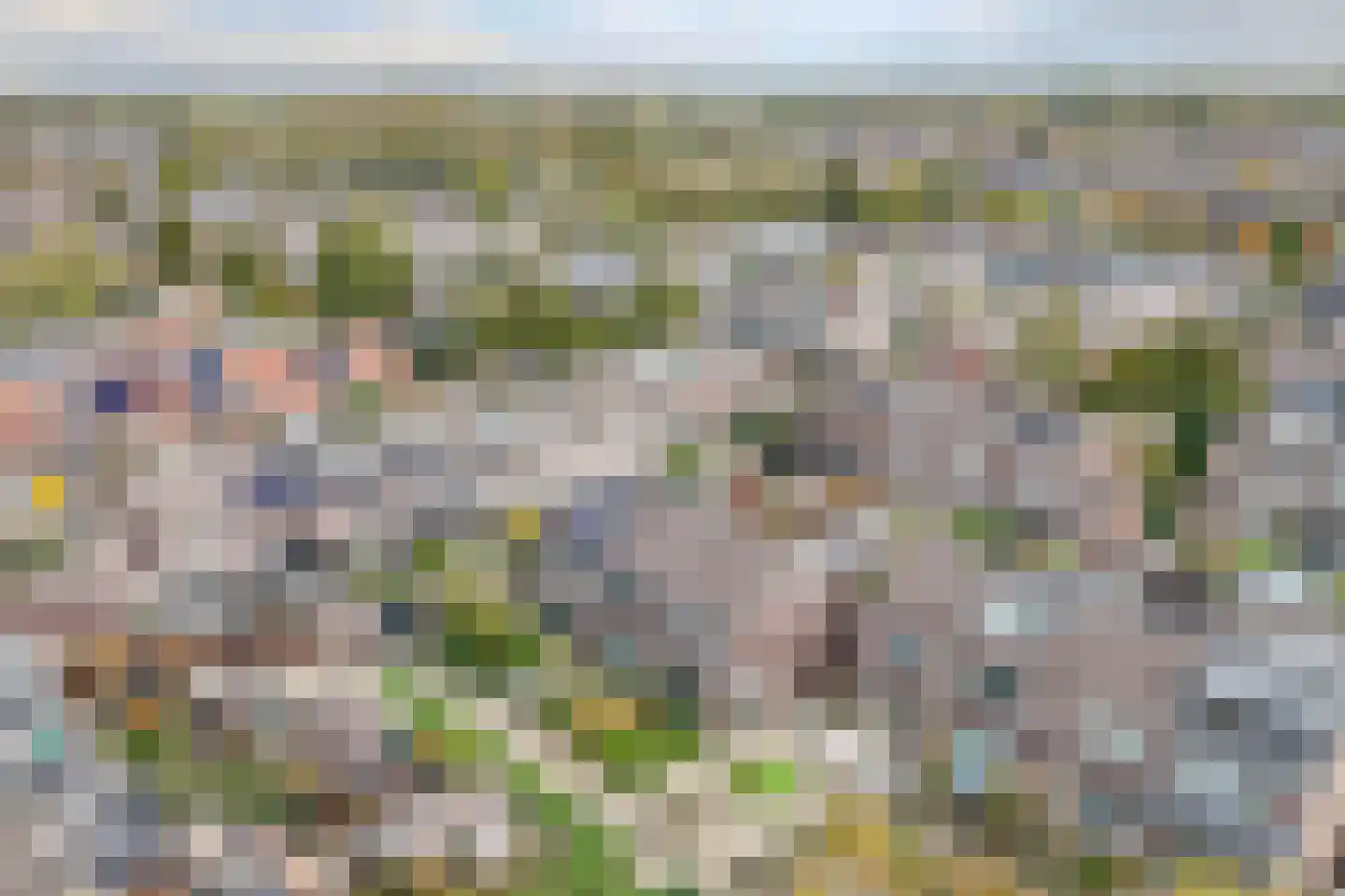 Veenmos 5 Nieuwerkerk aan den IJssel thumbnail 42