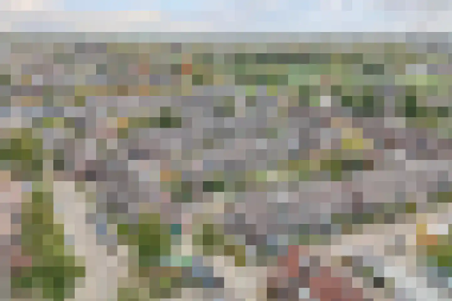 Veenmos 5 Nieuwerkerk aan den IJssel thumbnail 43