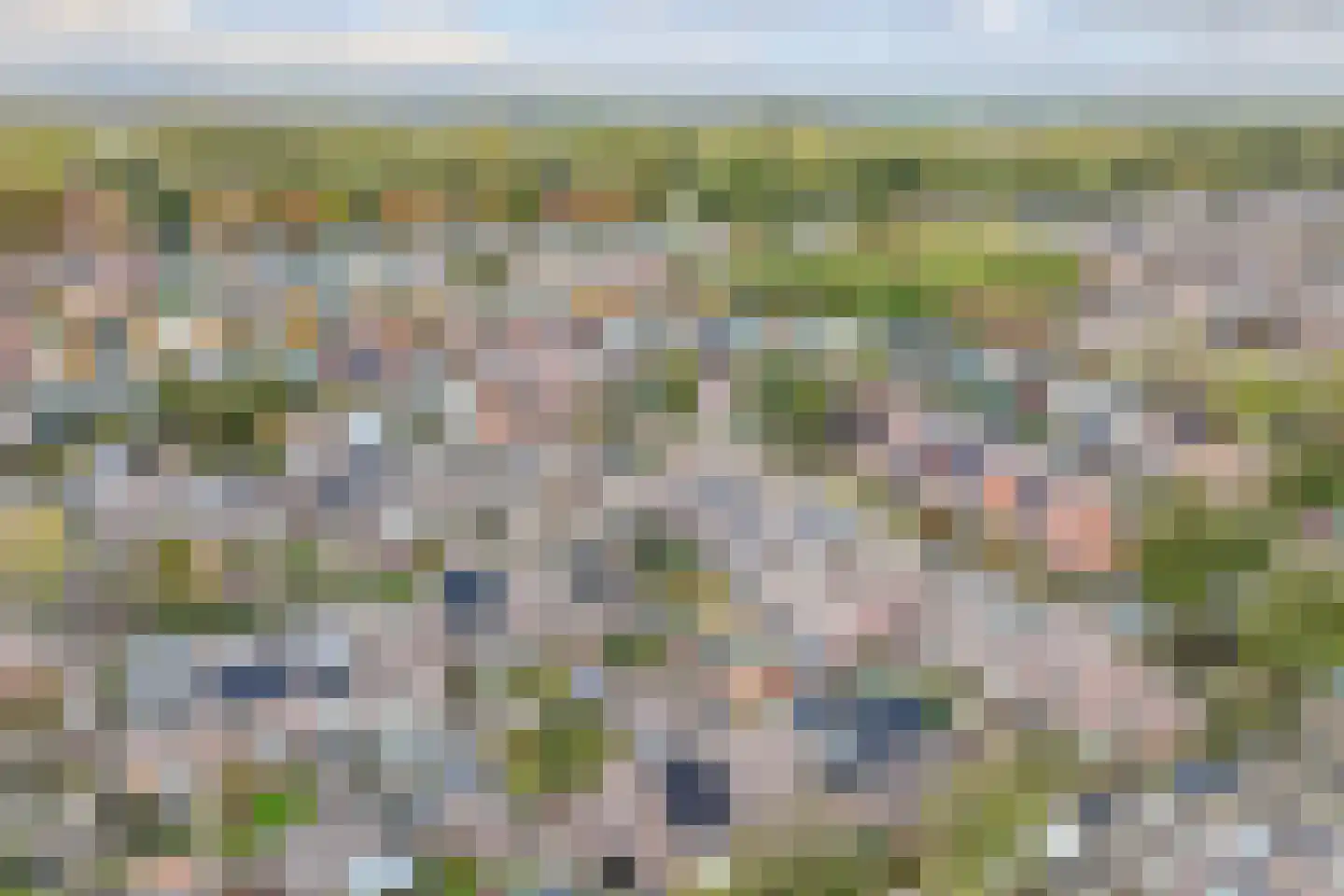 Veenmos 5 Nieuwerkerk aan den IJssel thumbnail 44