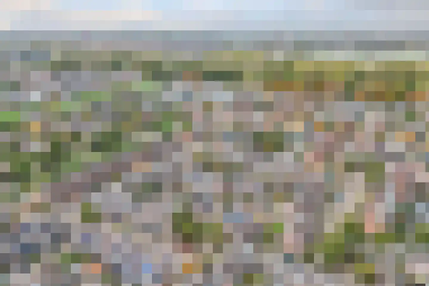 Veenmos 5 Nieuwerkerk aan den IJssel thumbnail 45