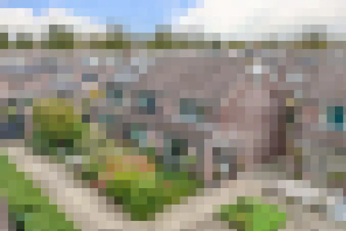 Veenmos 5 Nieuwerkerk aan den IJssel thumbnail 5