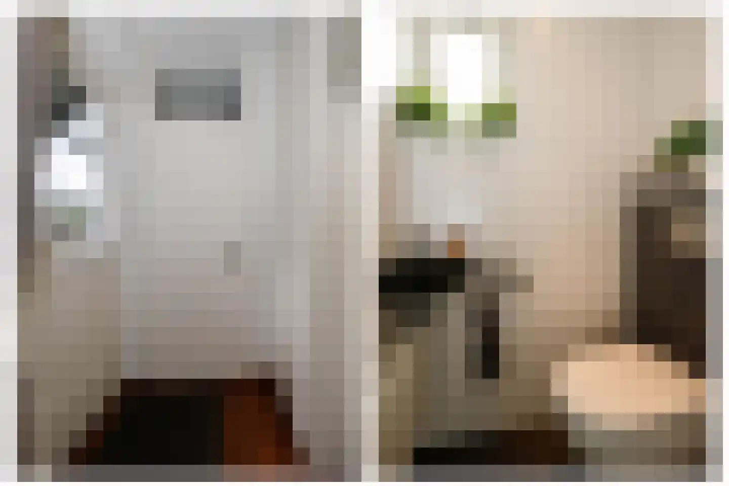 Veenmos 5 Nieuwerkerk aan den IJssel thumbnail 6