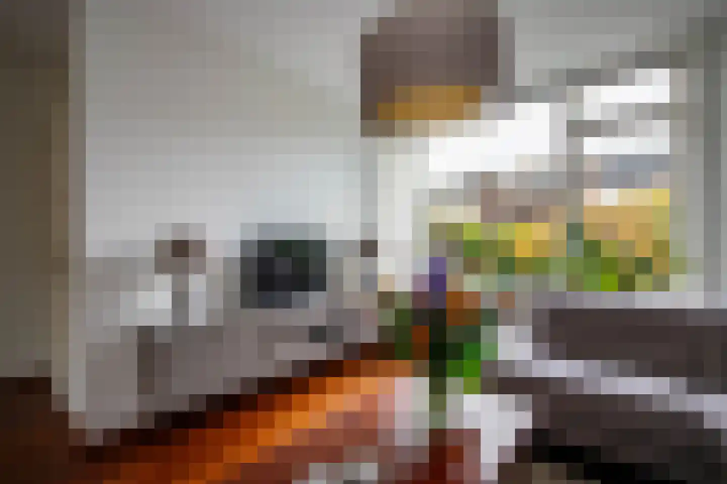Veenmos 5 Nieuwerkerk aan den IJssel thumbnail 7