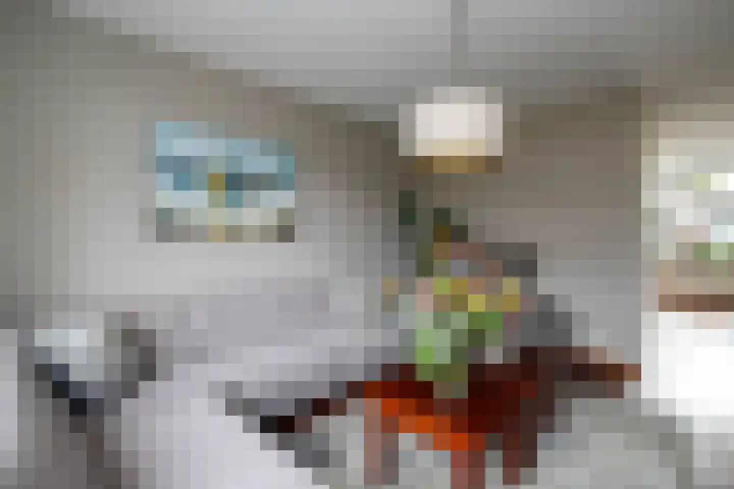 Veenmos 5 Nieuwerkerk aan den IJssel thumbnail 8