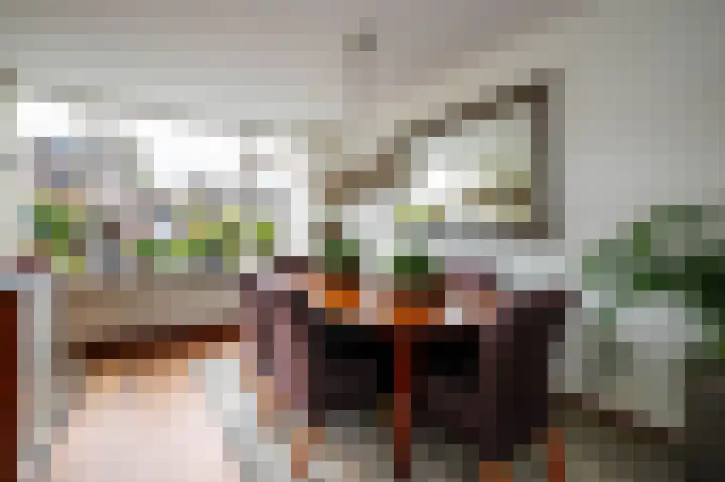 Veenmos 5 Nieuwerkerk aan den IJssel thumbnail 9