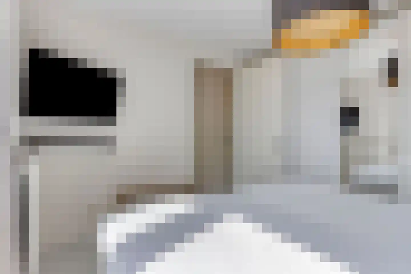Veenmos 50 Boekel thumbnail 16