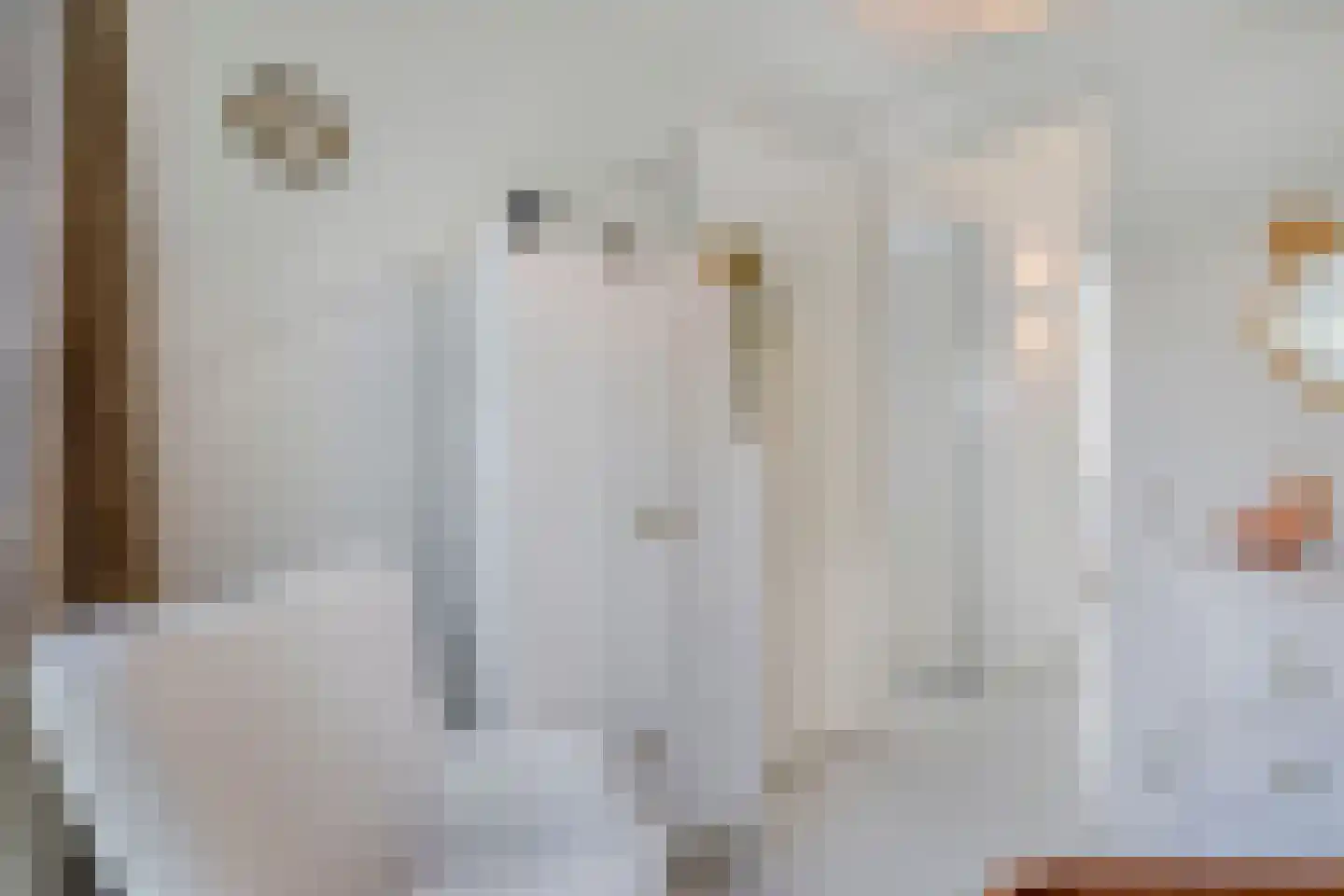 Veenmos 50 Boekel thumbnail 22