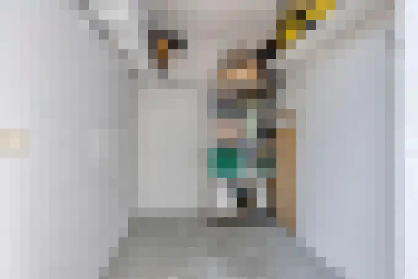Veenmos 50 Boekel thumbnail 24