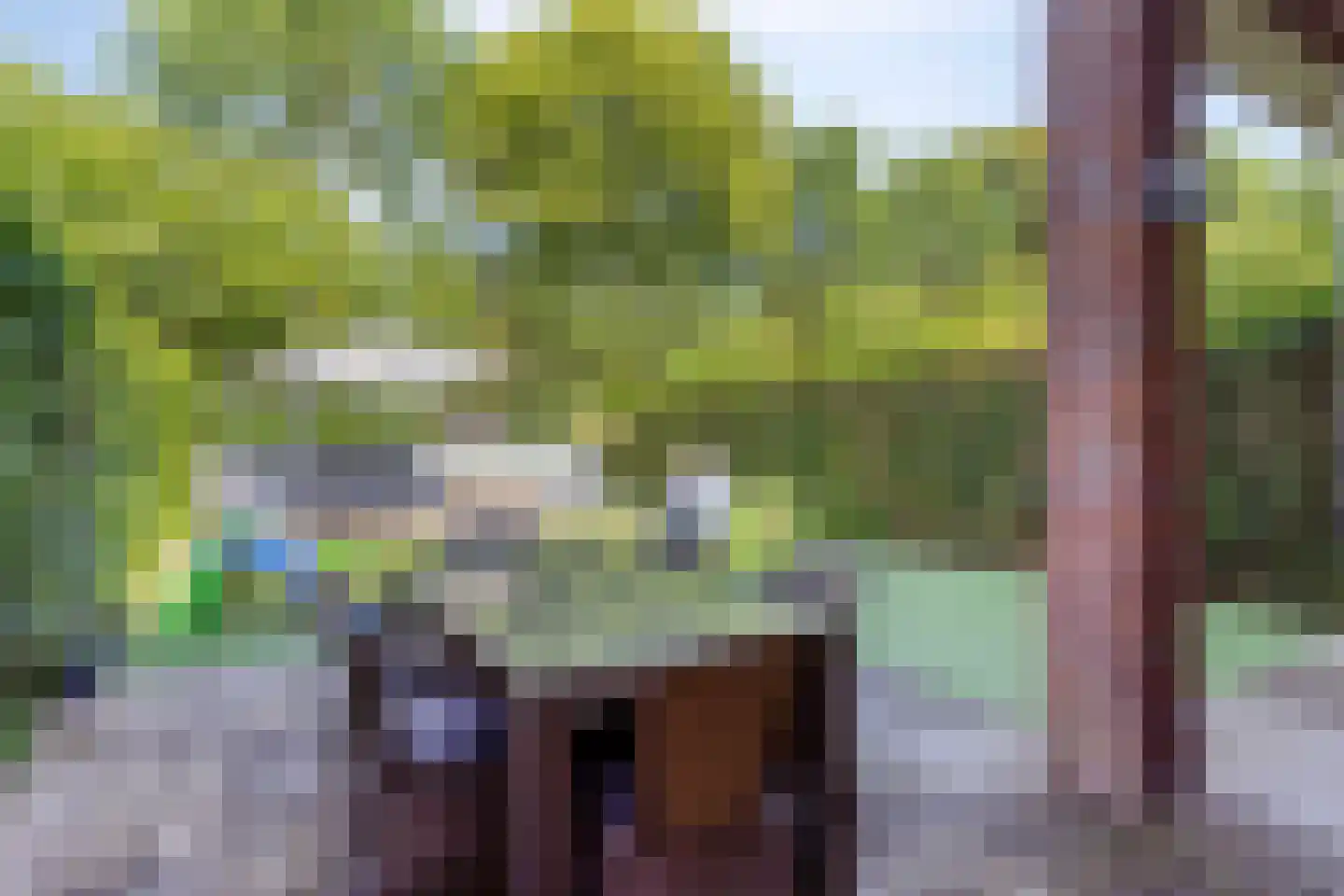 Veenmos 50 Boekel thumbnail 26