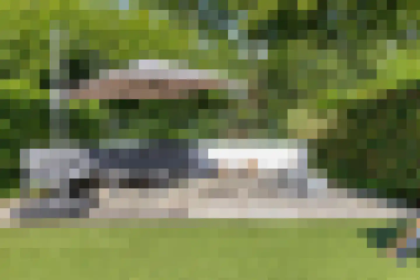 Veenmos 50 Boekel thumbnail 27