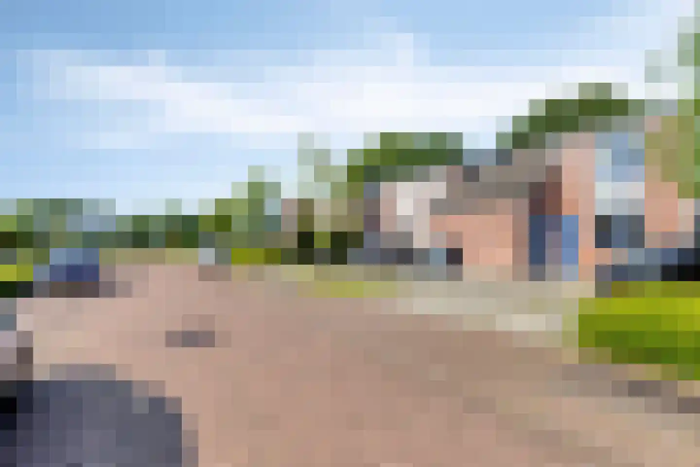 Veenmos 50 Boekel thumbnail 31