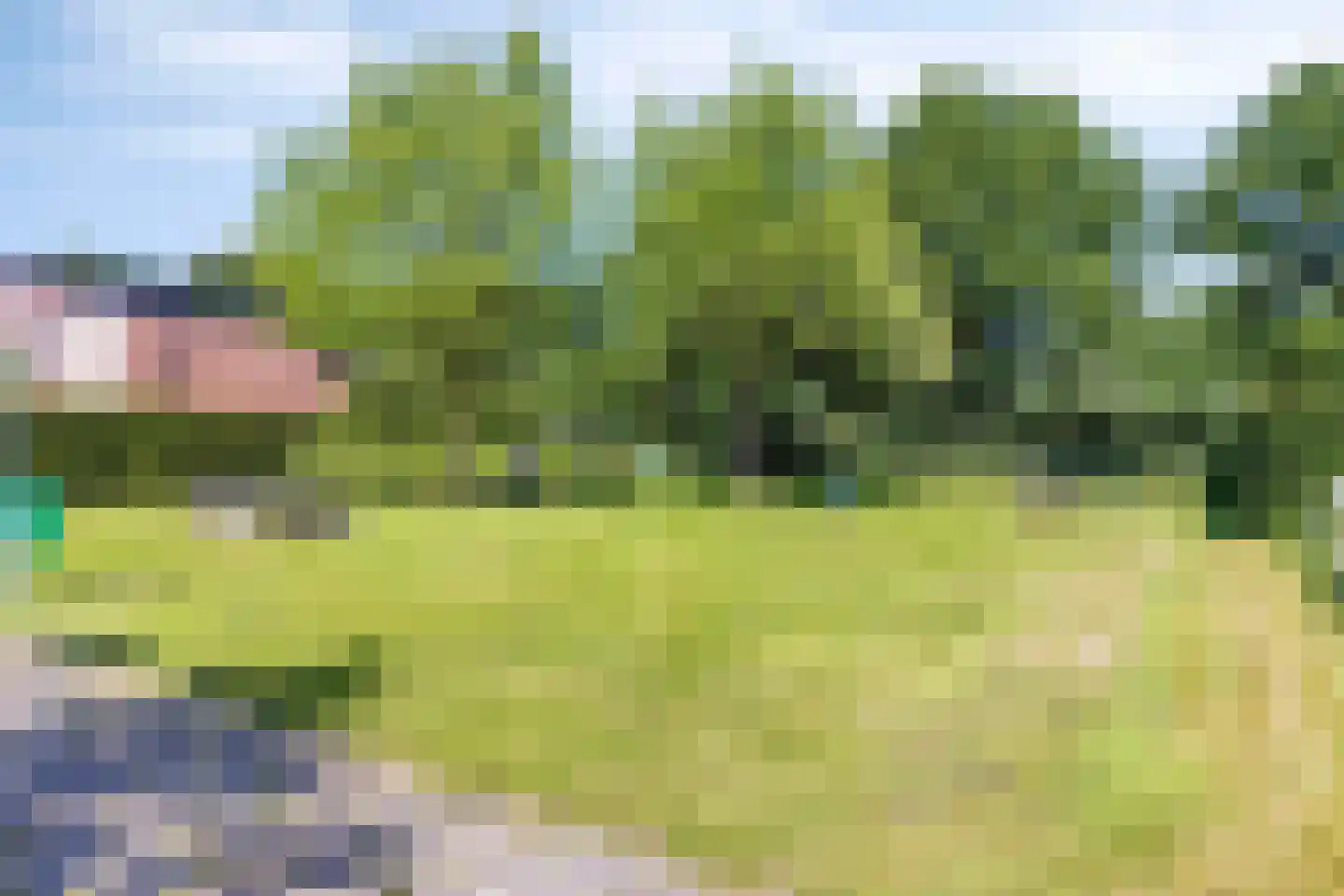 Veenmos 50 Boekel thumbnail 32