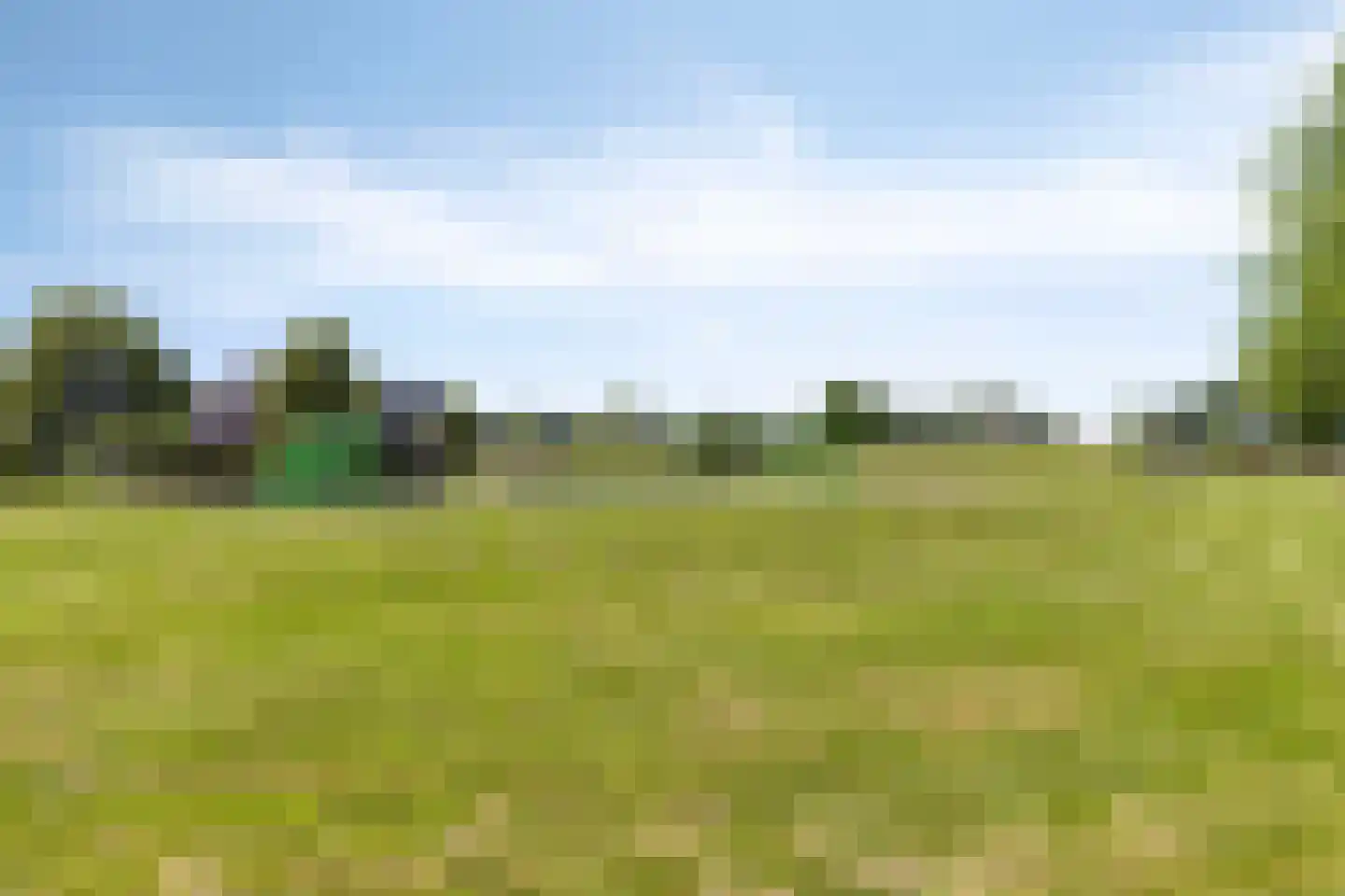 Veenmos 50 Boekel thumbnail 34