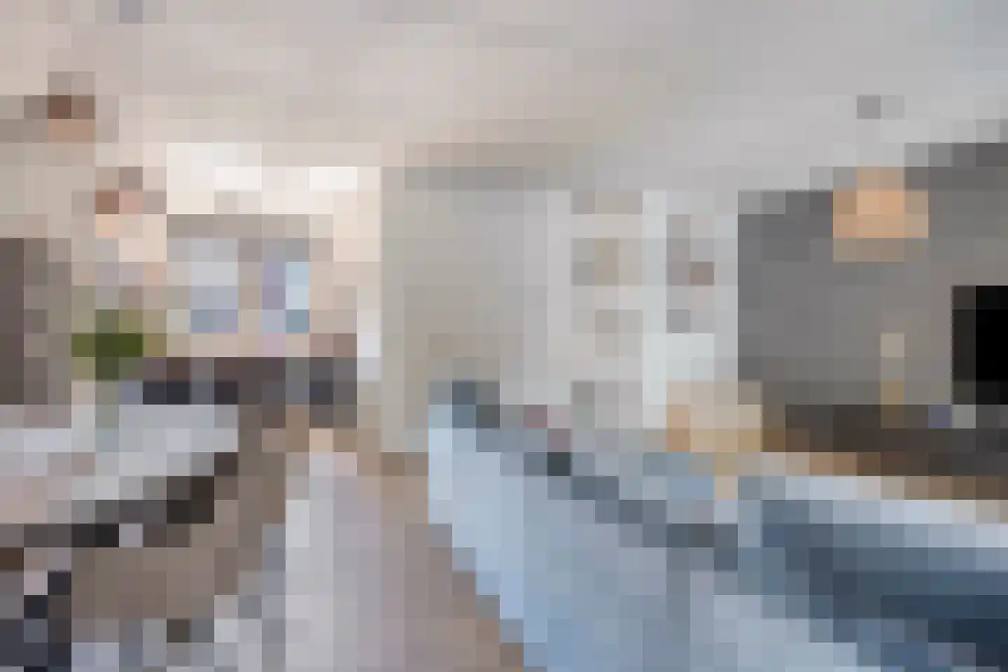 Veenmos 50 Boekel thumbnail 6