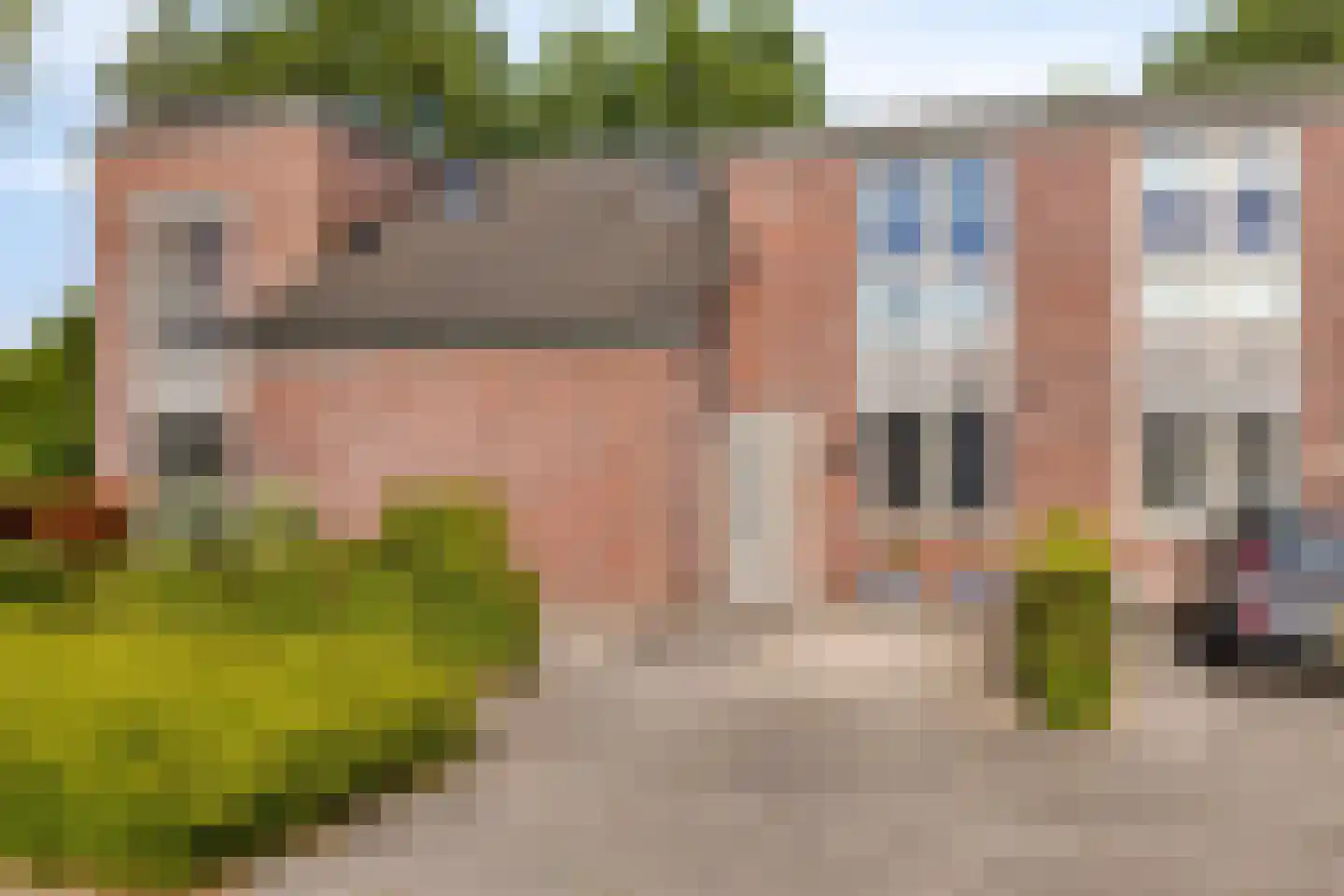 Veenmos 58 Boekel