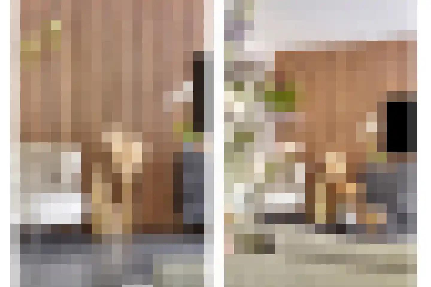 Veenmos 58 Boekel thumbnail 10