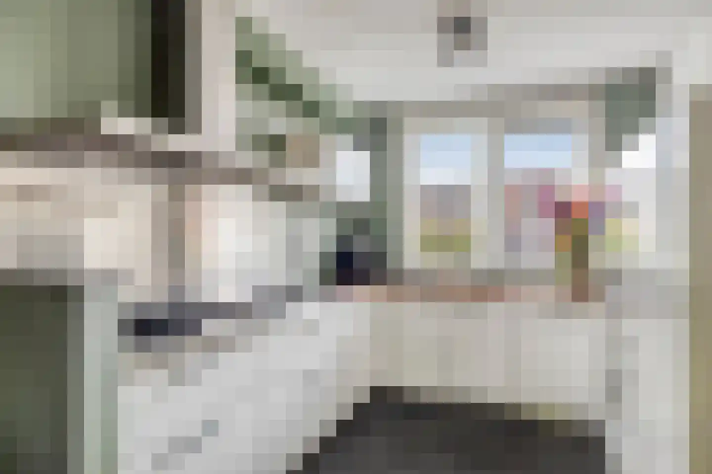 Veenmos 58 Boekel thumbnail 11