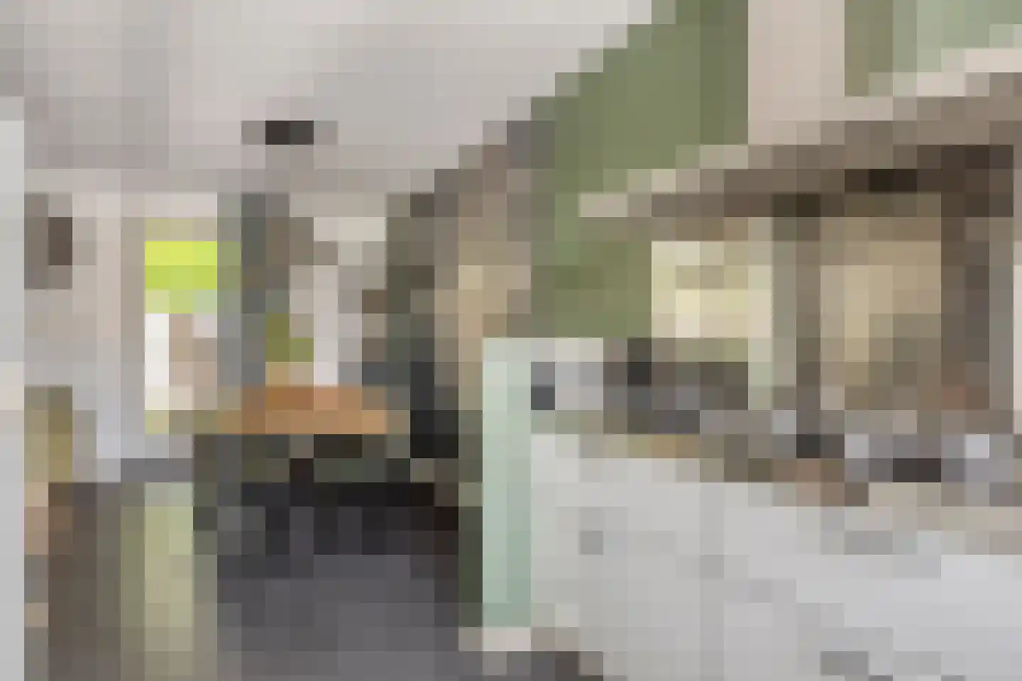 Veenmos 58 Boekel thumbnail 13